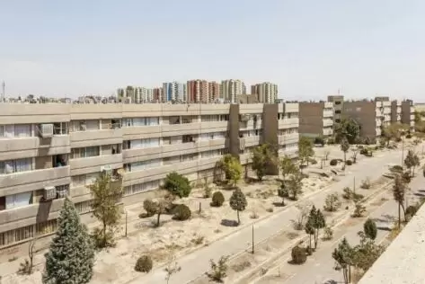 قالیشویی در واوان